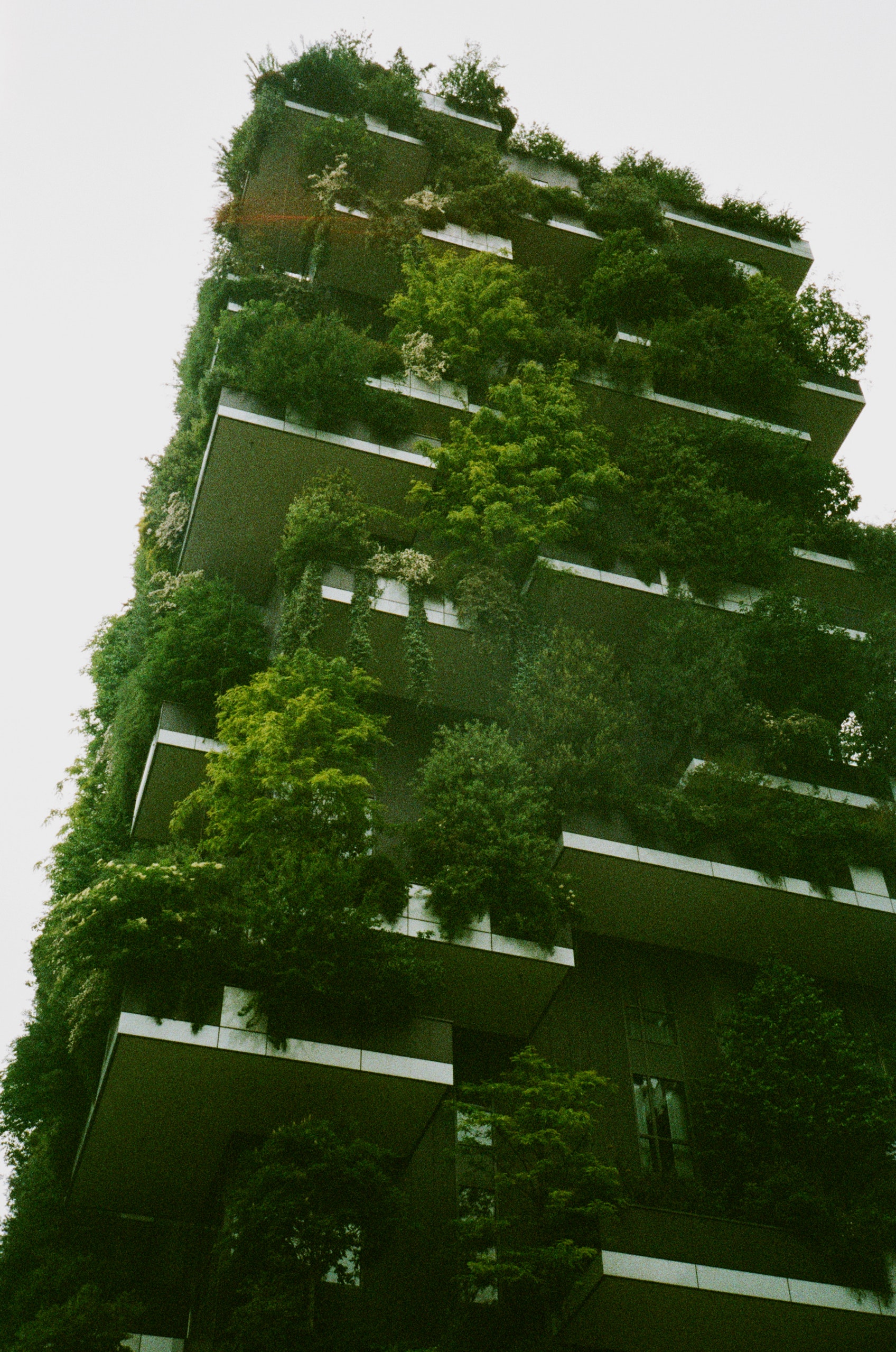 Sustainability